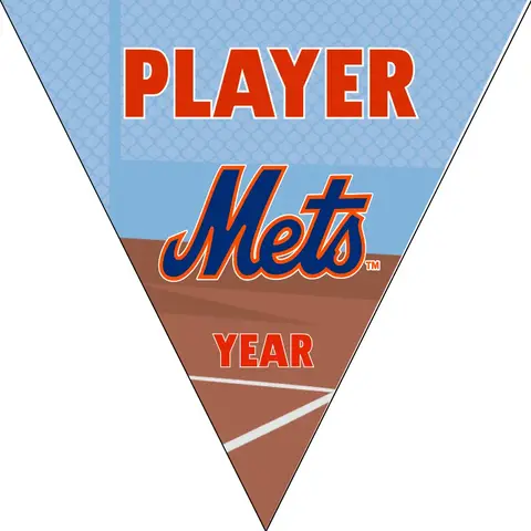 New York Mets 2 Baseball Banner-dragons-baseball-banner-images