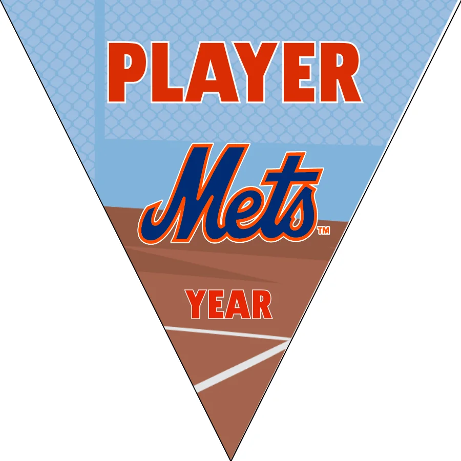 New York Mets 2 Baseball Banner-dragons-baseball-banner-images