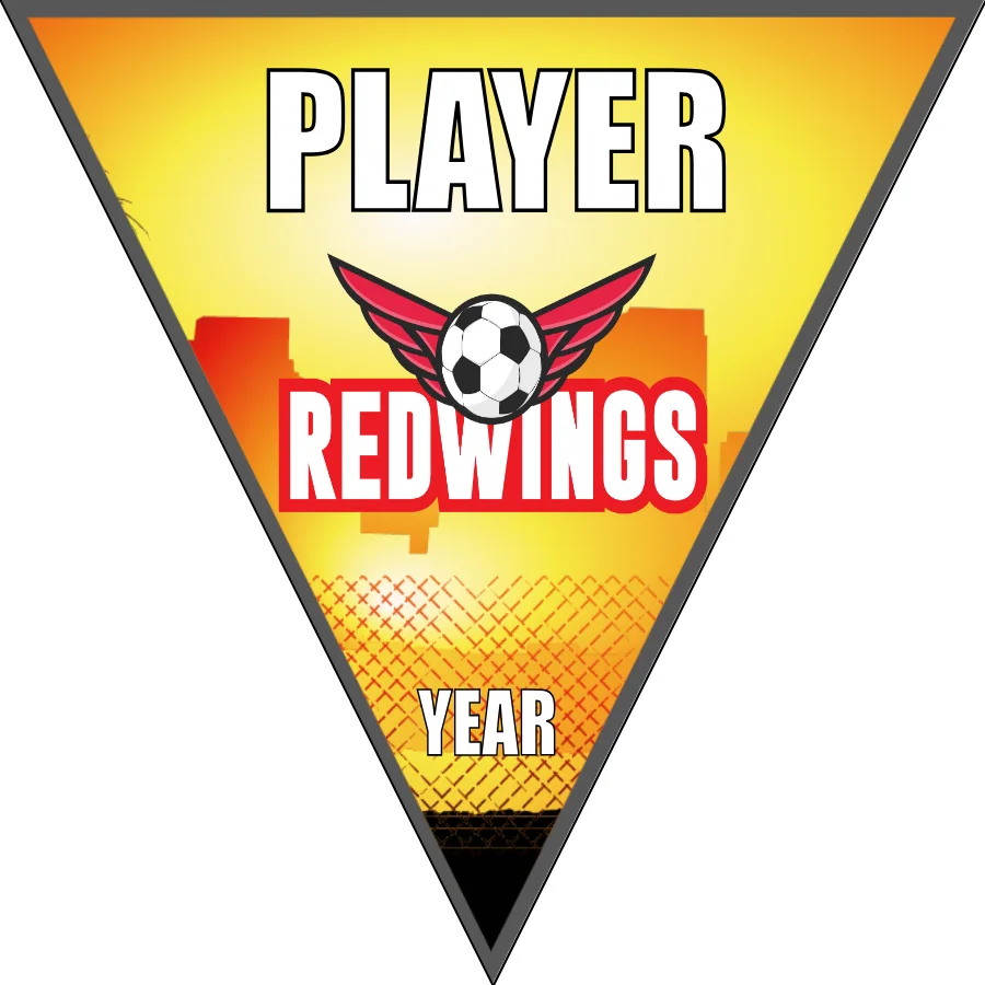 Redwing Soccer Banner-soccer-banner-pole-kit-picture
