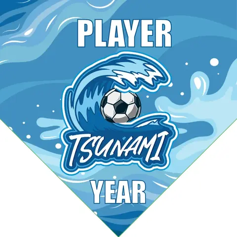 Tsunami 1 Soccer Banner-soccer-banners-and-flags-picture
