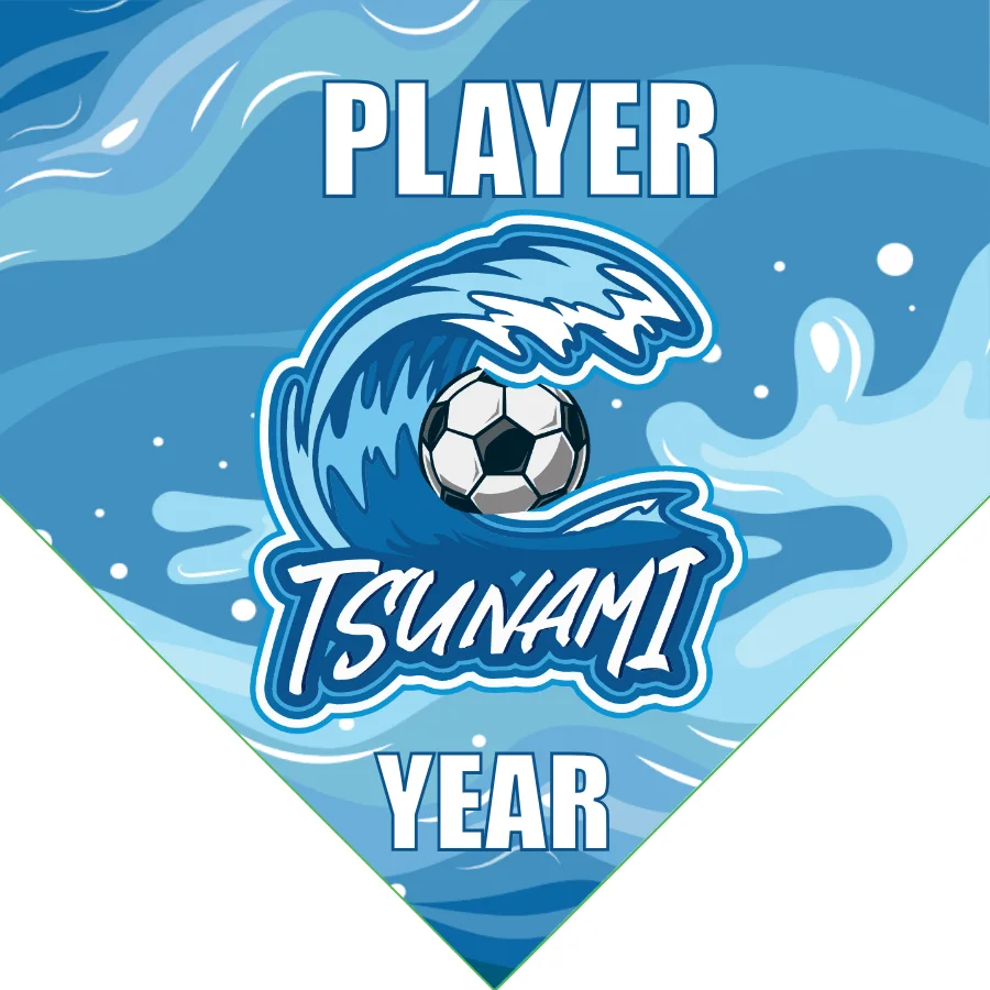 Tsunami 1 Soccer Banner-soccer-banners-and-flags-picture