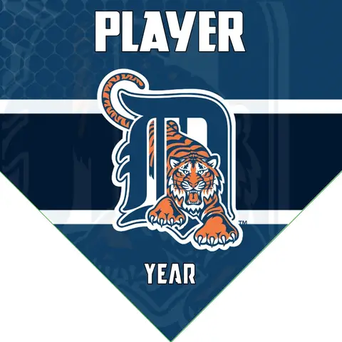 Tigers 3 Baseball Banner-star-spangled-banner-baseball-game-images