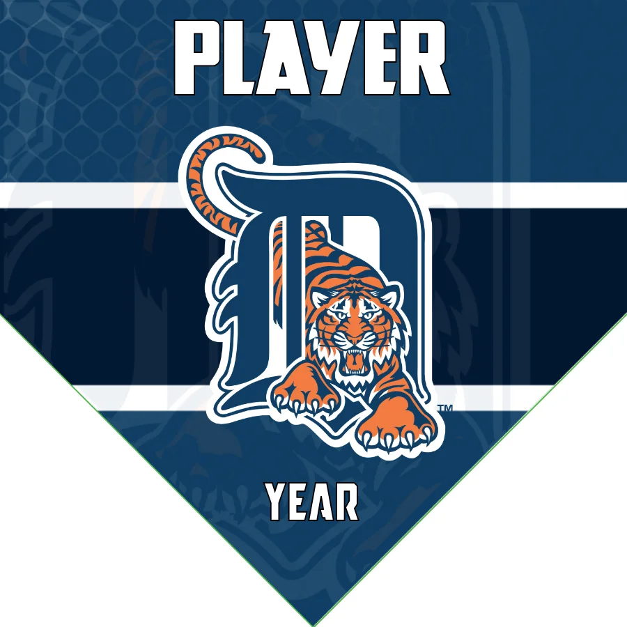 Tigers 3 Baseball Banner-star-spangled-banner-baseball-game-images