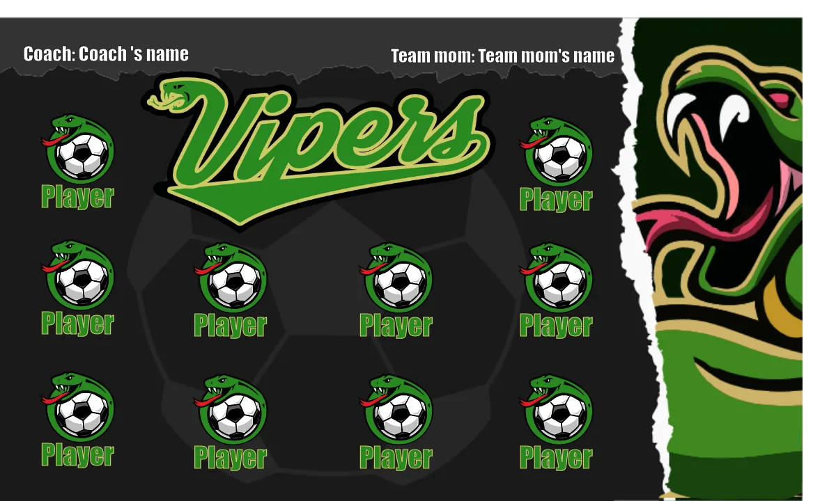 Vipers 1 Soccer Banner-soccer-team-banners-ayso-picture