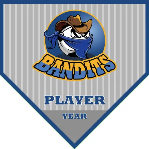 Bandits 2 Soccer Banner-soccer-banners-airbrush-picture