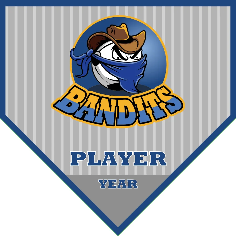 Bandits 2 Soccer Banner-soccer-banners-airbrush-picture