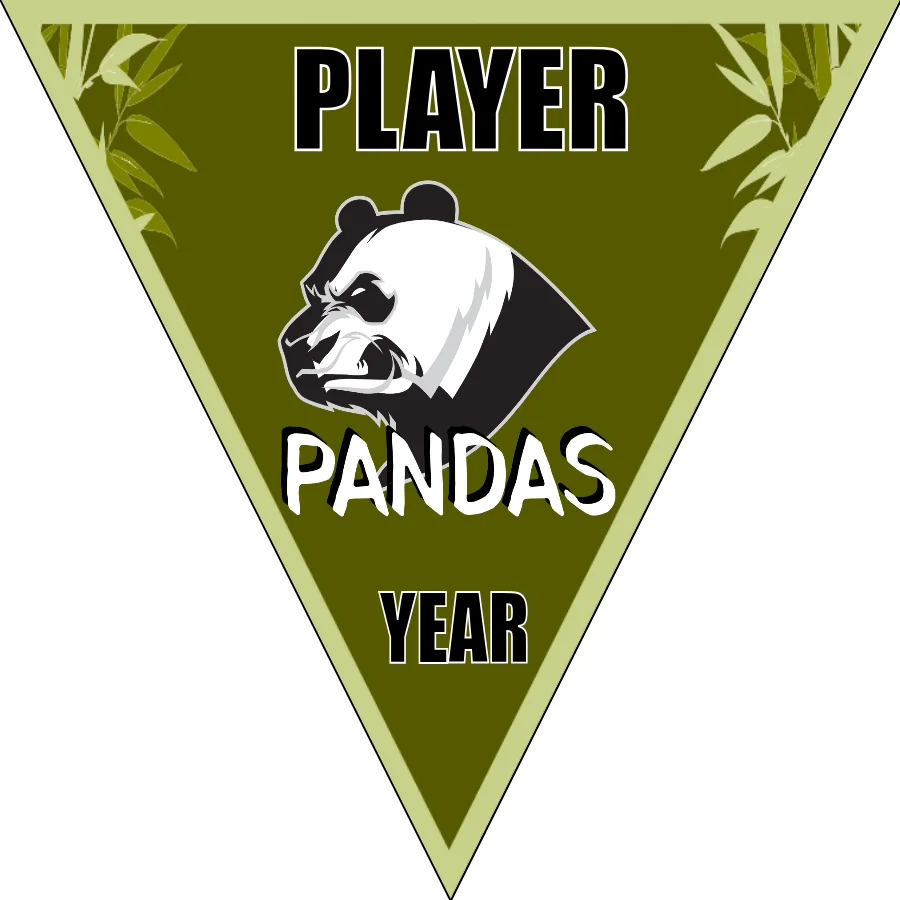 Pandas Soccer Banner-soccer-banners-for-sale-picture