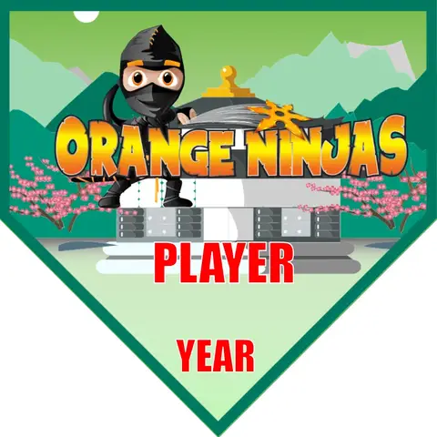 Orange Ninjas Soccer Banner-soccer-team-banner-picture