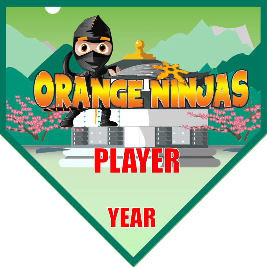 Orange Ninjas Soccer Banner-soccer-team-banner-picture