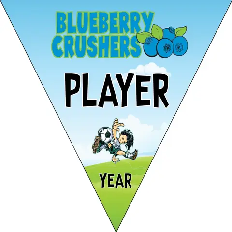 Blueberry Soccer Banner-soccer-banner-picture