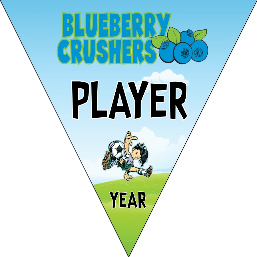 Blueberry Soccer Banner-soccer-banner-picture