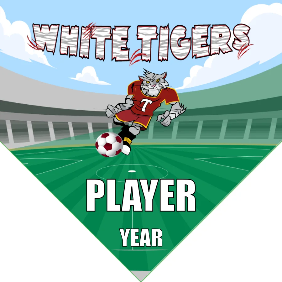White Tigers Soccer Banner-ayso-soccer-banner-size-picture