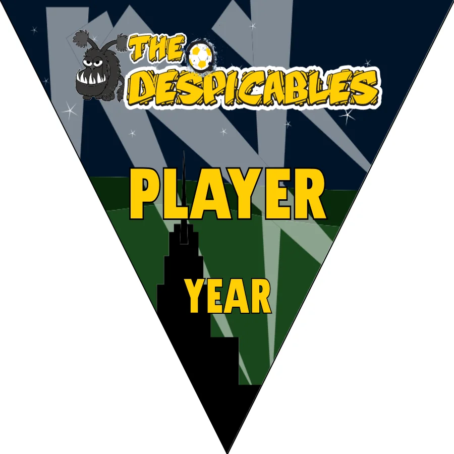 The Despicables 2 Soccer Banner-soccer-banner-flags-picture