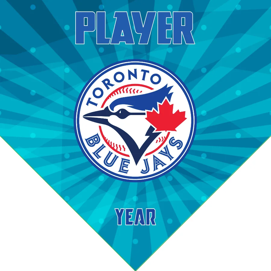 Toronto Baseball Banner-baseball-banner-poses-images