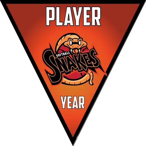 snakes 2-red-yellow-triangle-softball-team-banners-picture