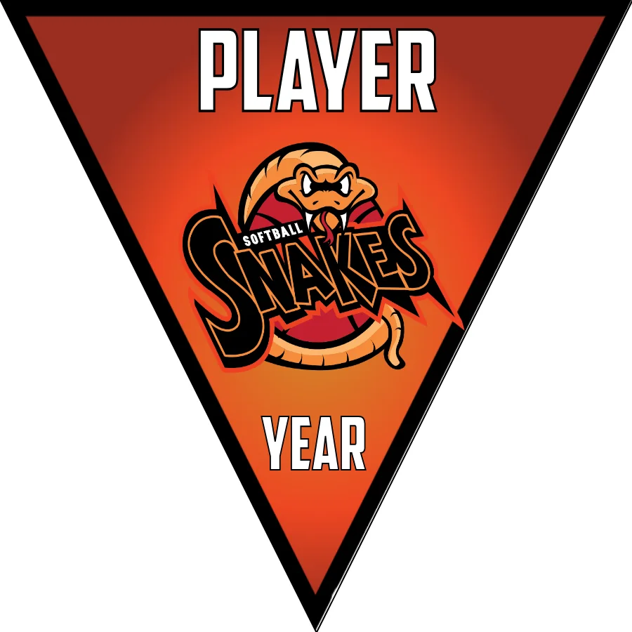 snakes 2-red-yellow-triangle-softball-team-banners-picture