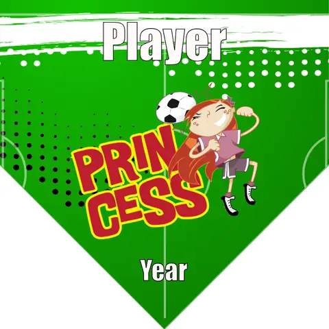 Peincess Soccer Banner-soccer-banner-size-picture