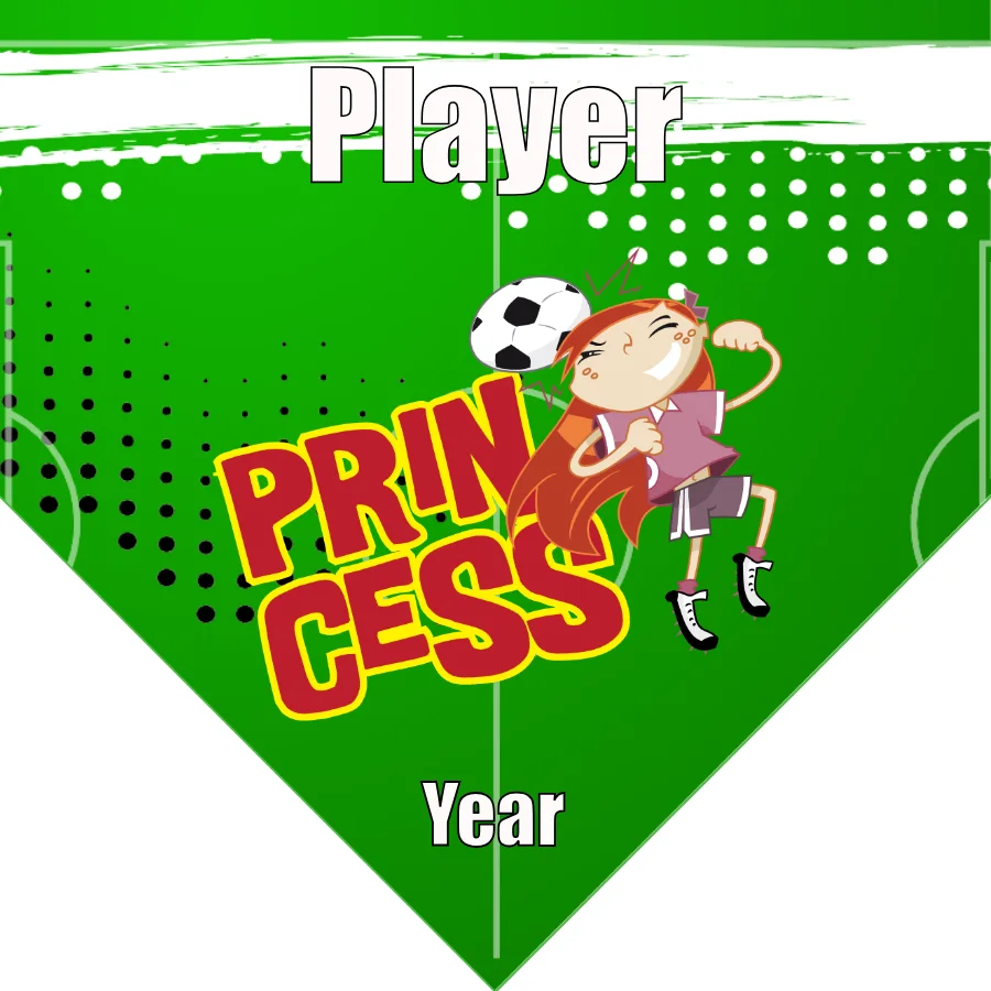 Peincess Soccer Banner-soccer-banner-size-picture