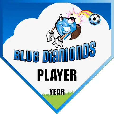 Diamonds Blue Soccer Banner-banner-soccer-image