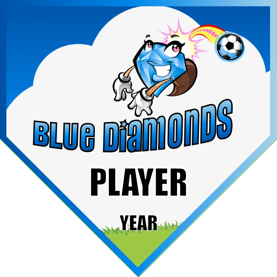 Diamonds Blue Soccer Banner-banner-soccer-image