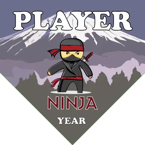 Ninjas Softball Banner-asa-softball-banners-images