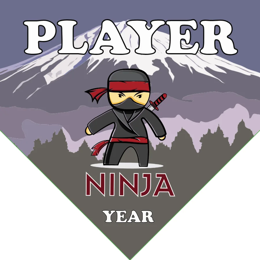 Ninjas Softball Banner-asa-softball-banners-images
