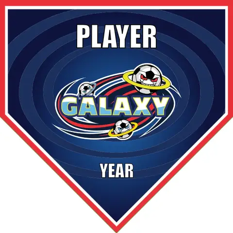Galaxy 1 Soccer Banner-soccer-flash-banners-picture