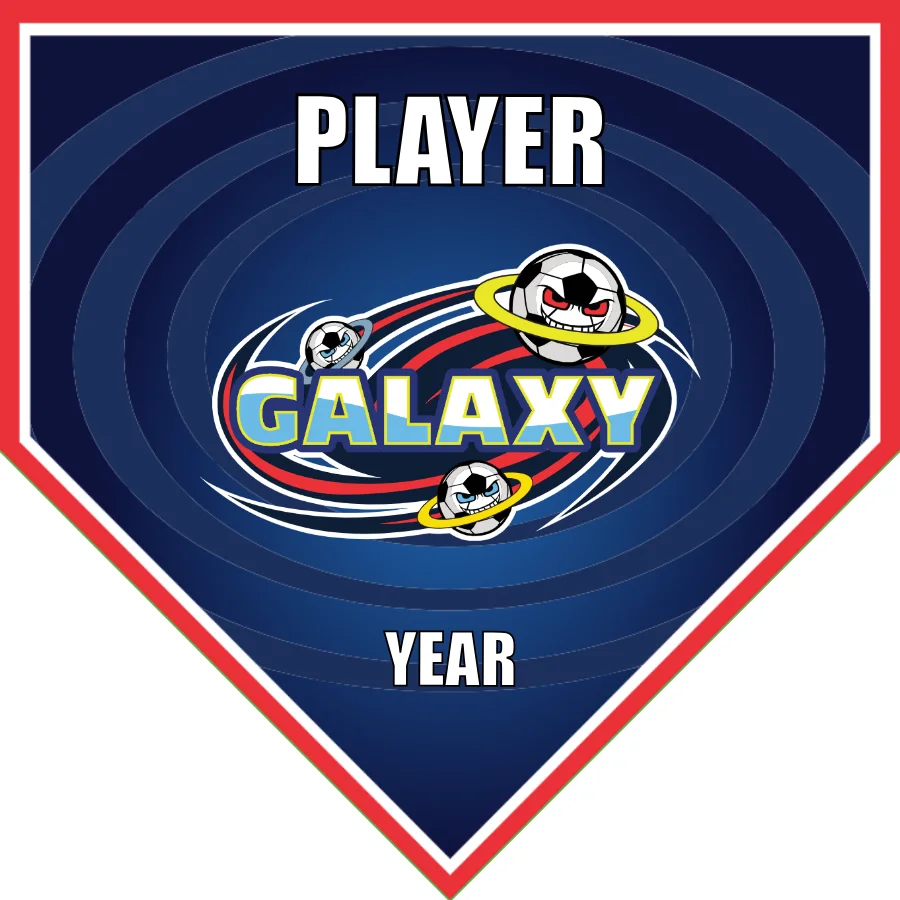 Galaxy 1 Soccer Banner-soccer-flash-banners-picture