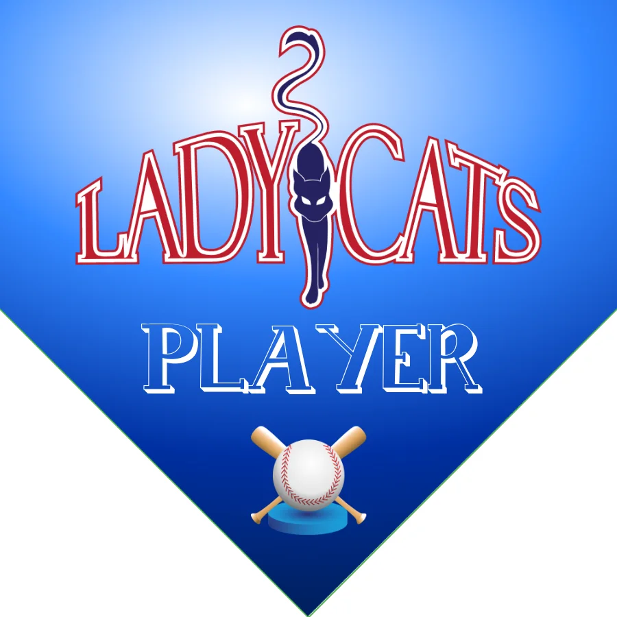 Lady Cats 2 Softball Banner-custom-softball-banner-images