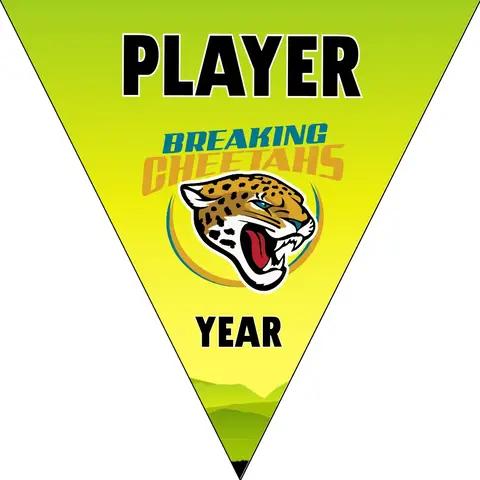 BreakingCheetahs Soccer Banner-soccer-banner-pictures-picture