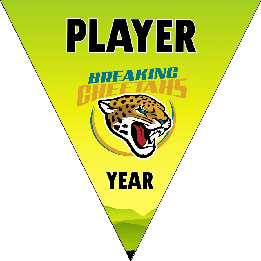 BreakingCheetahs Soccer Banner-soccer-banner-pictures-picture