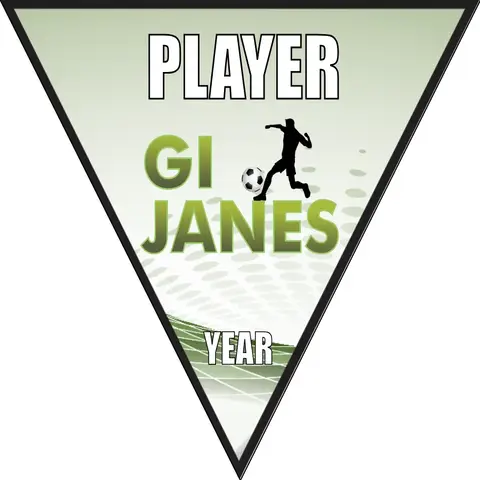 Gi Janes Soccer Banner -soccer-team-banners-ayso-picture