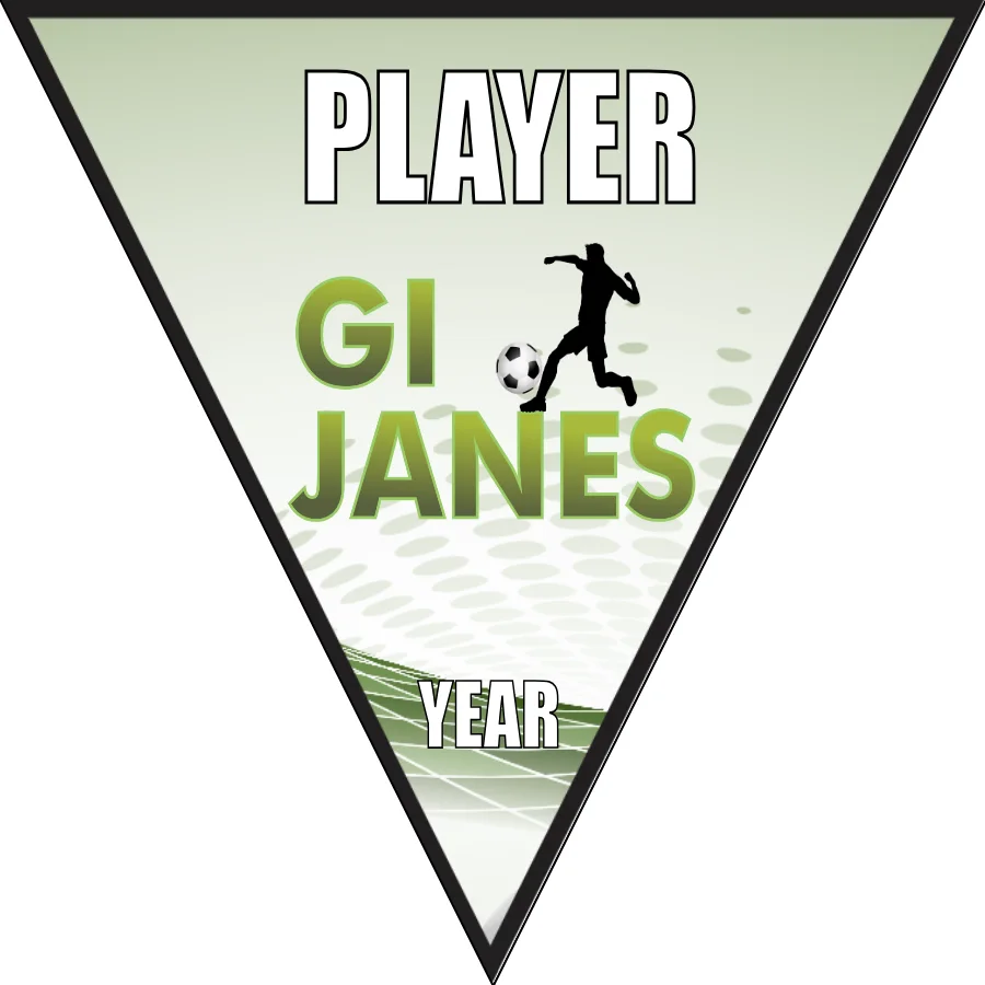 Gi Janes Soccer Banner -soccer-team-banners-ayso-picture