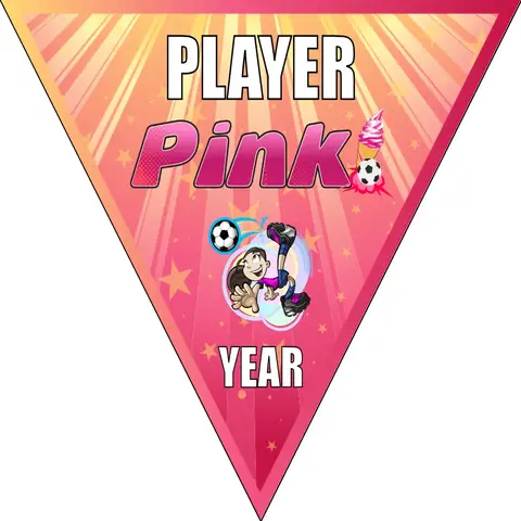 Pink 2 Soccer Banner-soccer-banner-frame-picture
