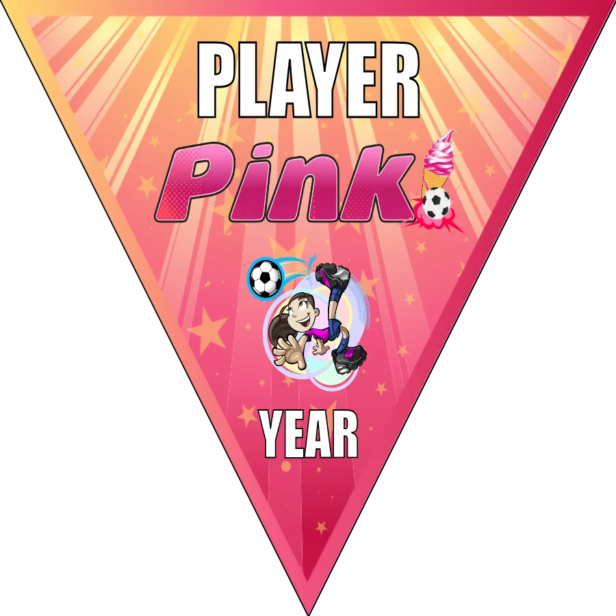 Pink 2 Soccer Banner-soccer-banner-frame-picture