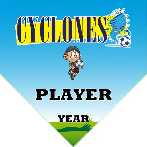 Cyclones Soccer Banner-soccer-banner-prices-picture