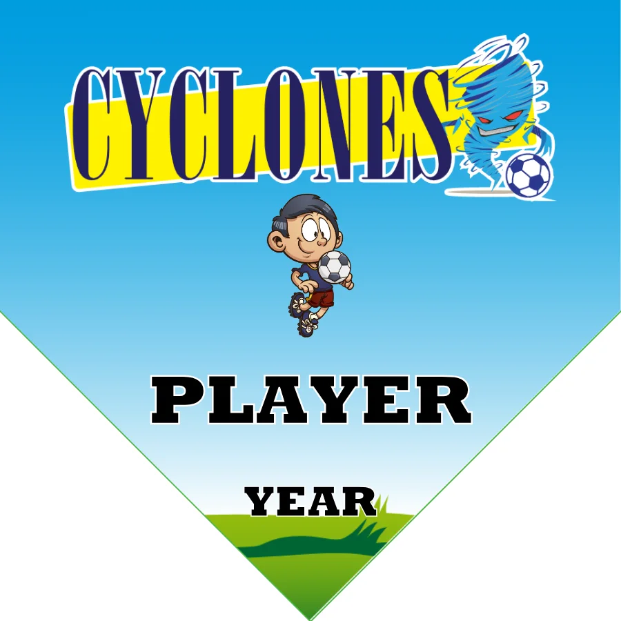 Cyclones Soccer Banner-soccer-banner-prices-picture