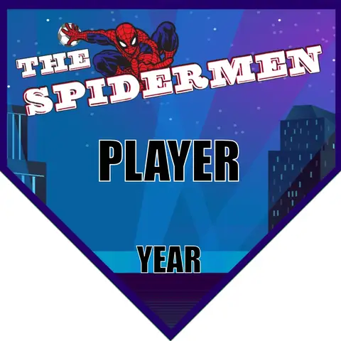 Spidermen Soccer Banner-soccer-banner-picture