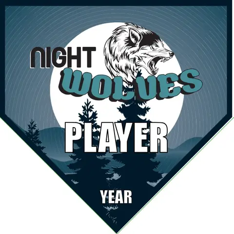 Night Wolves 1 Soccer Banner-soccer-team-banner-picture