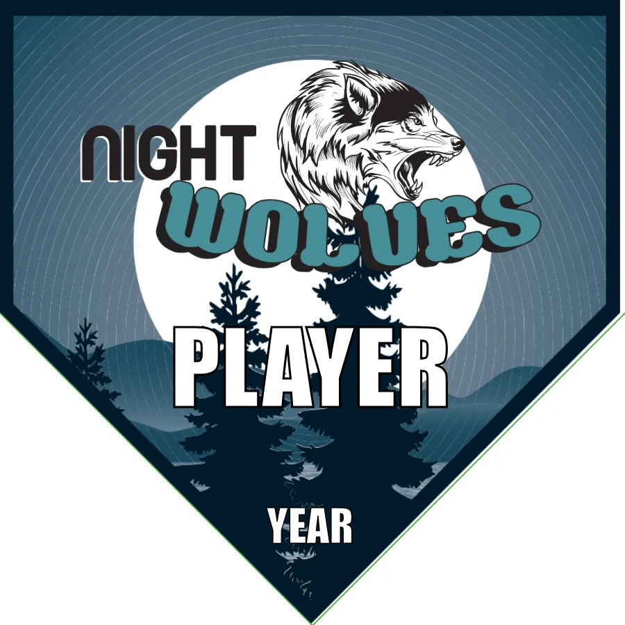 Night Wolves 1 Soccer Banner-soccer-team-banner-picture