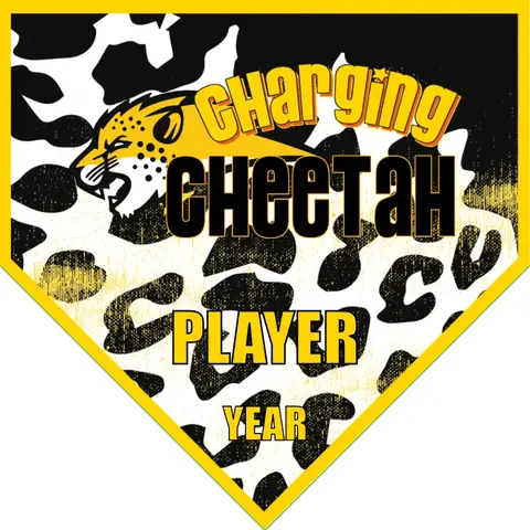 Cheetah Char Soccer Banner-frozen-soccer-banner-picture