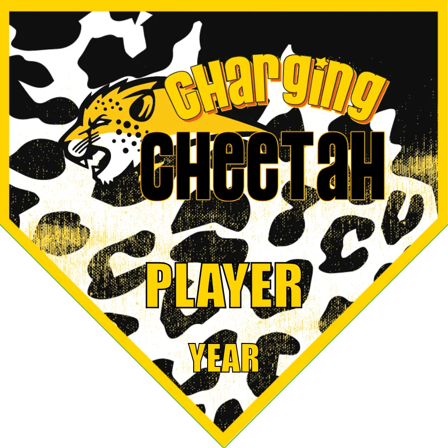 Cheetah Char Soccer Banner-frozen-soccer-banner-picture