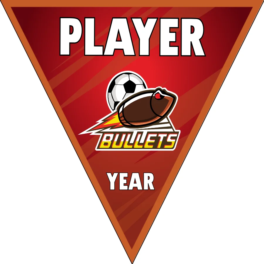 Bullets 2 Soccer Banner-custom-soccer-pennant-banner-picture