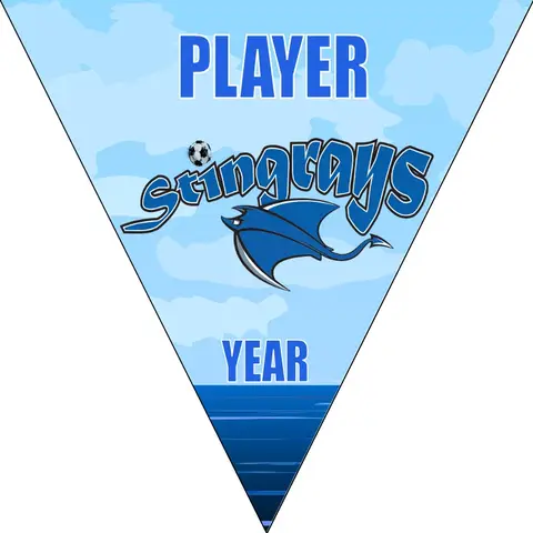 Stingrays Soccer Banner-soccer-banner-ideas-picture
