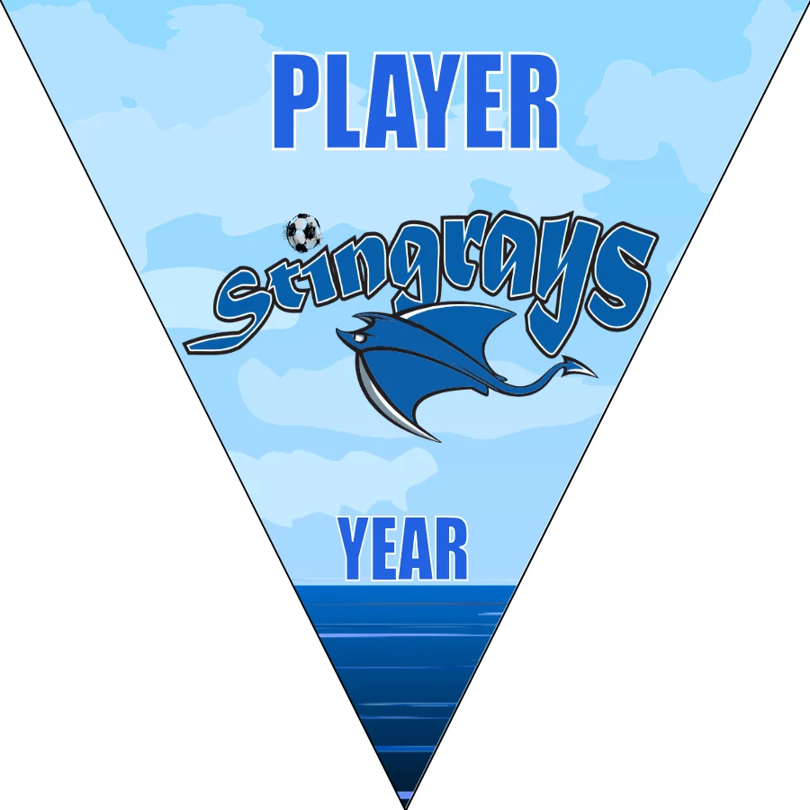 Stingrays Soccer Banner-soccer-banner-ideas-picture