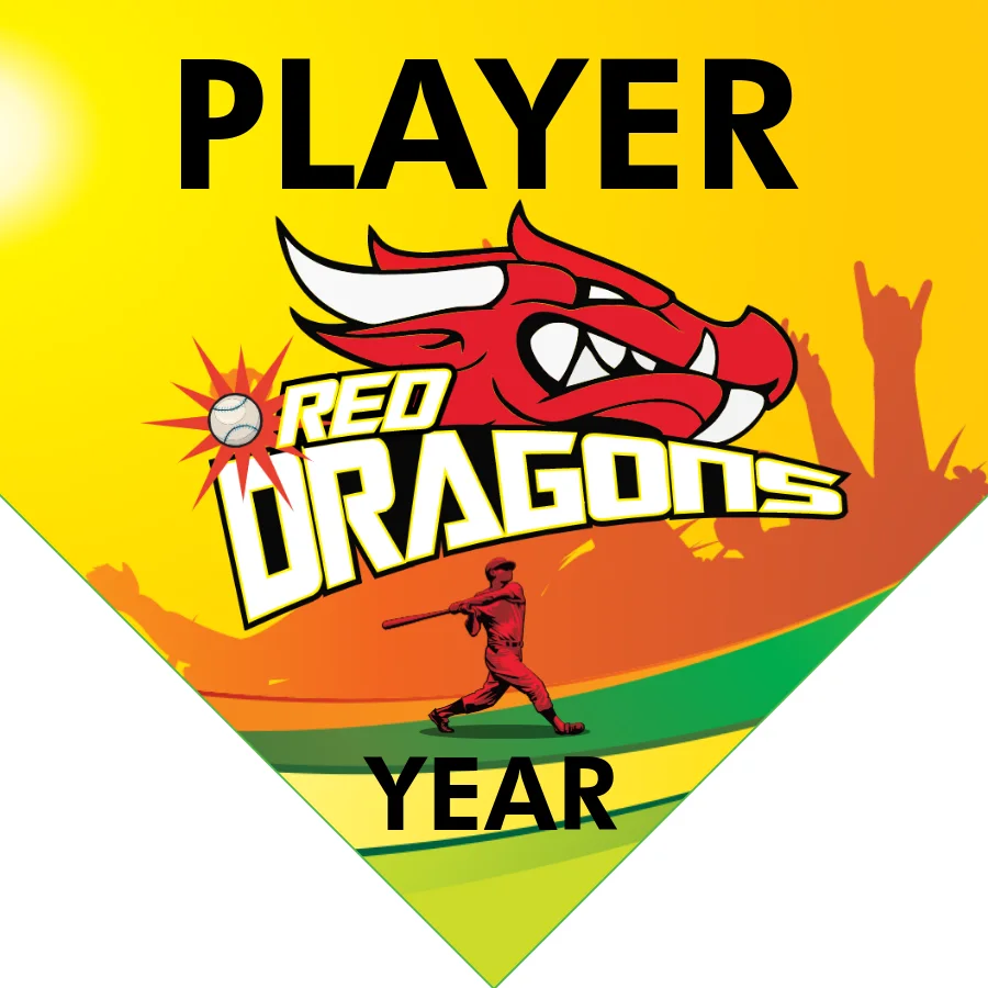 RedDragon Softball Banner-diy-softball-banners-images