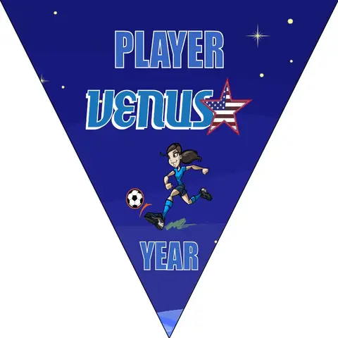 Venus Soccer Banner-soccer-banner-size-picture