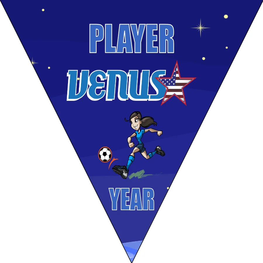 Venus Soccer Banner-soccer-banner-size-picture
