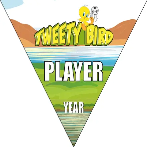 Tweety Bird 2 Soccer Banner-soccer-banners-mission-viejo-picture