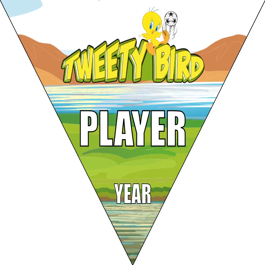 Tweety Bird 2 Soccer Banner-soccer-banners-mission-viejo-picture